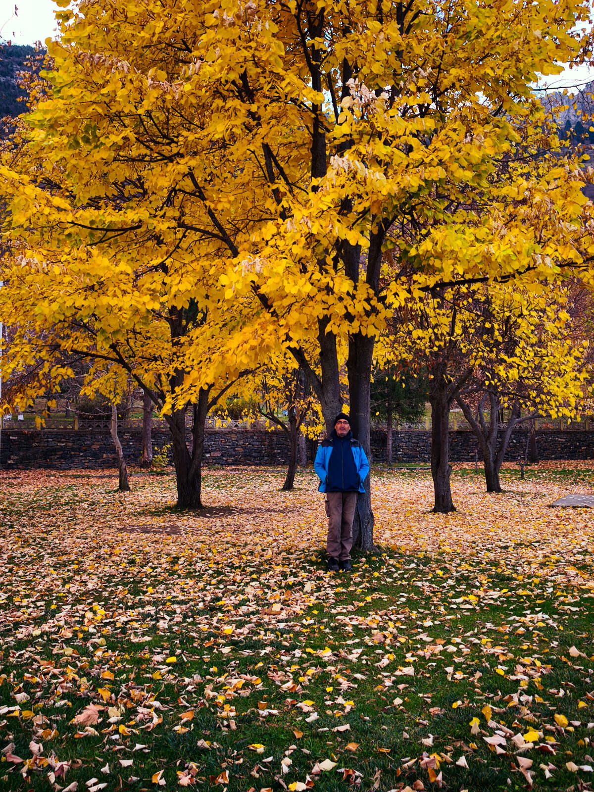 Konya’nın cennet köşesi sonbahar renkleriyle büyülüyor 15